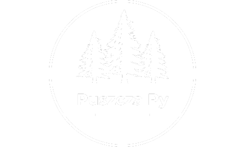 Puszcza Py 🦬 – Blog o Pythonie i Django prosto z serca Podlasia